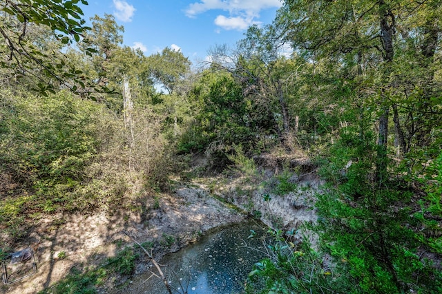 view of landscape