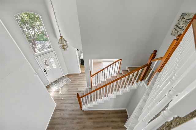 entryway featuring a towering ceiling and hardwood / wood-style floors