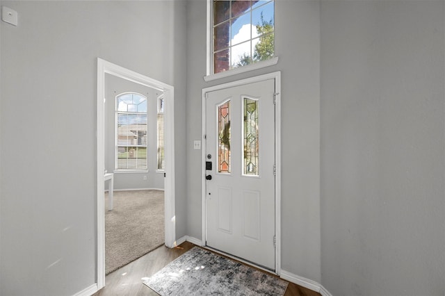 foyer featuring light hardwood / wood-style flooring, a high ceiling, and plenty of natural light