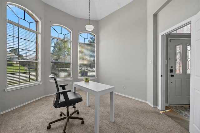 carpeted office with a textured ceiling