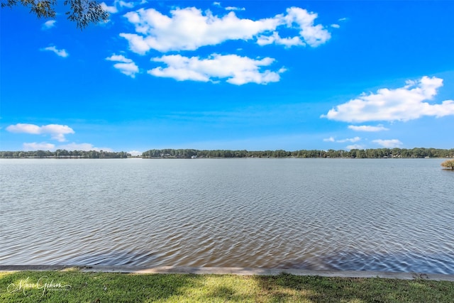 property view of water