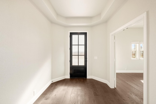 entrance foyer featuring a tray ceiling and dark hardwood / wood-style floors