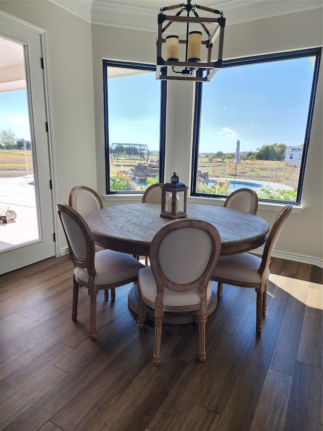 dining area featuring plenty of natural light and dark hardwood / wood-style flooring