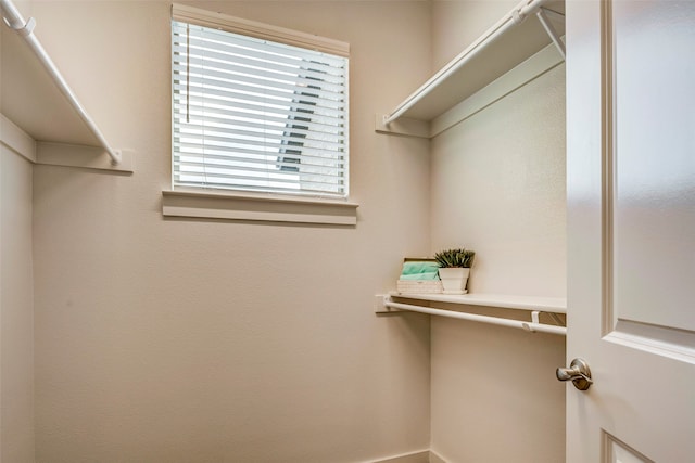 view of spacious closet