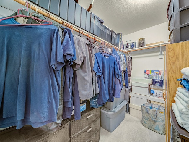 walk in closet featuring carpet flooring