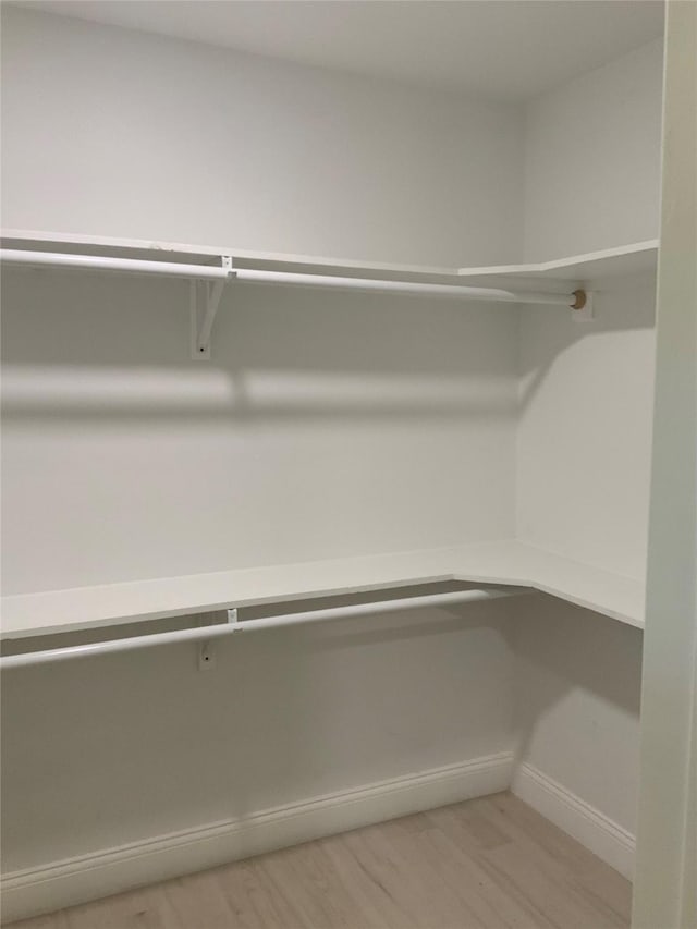 spacious closet featuring light wood-style flooring