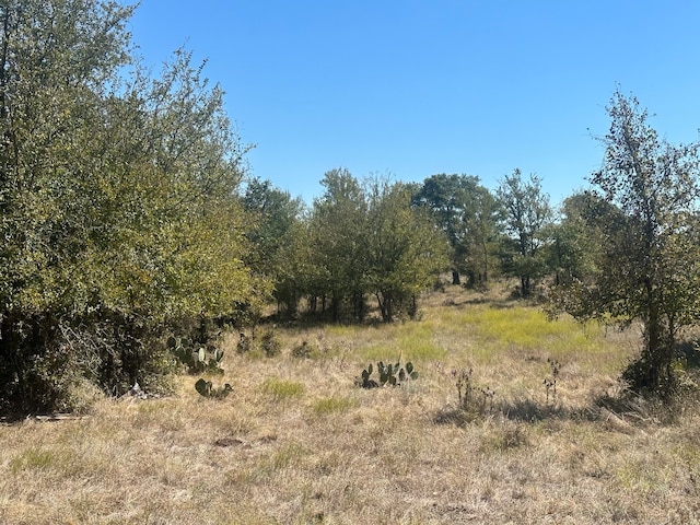 Listing photo 2 for 688E Fm 572, Goldthwaite TX 76844