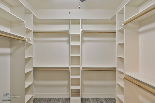 spacious closet with hardwood / wood-style flooring