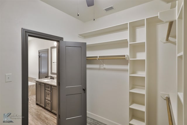 spacious closet featuring light hardwood / wood-style flooring and sink