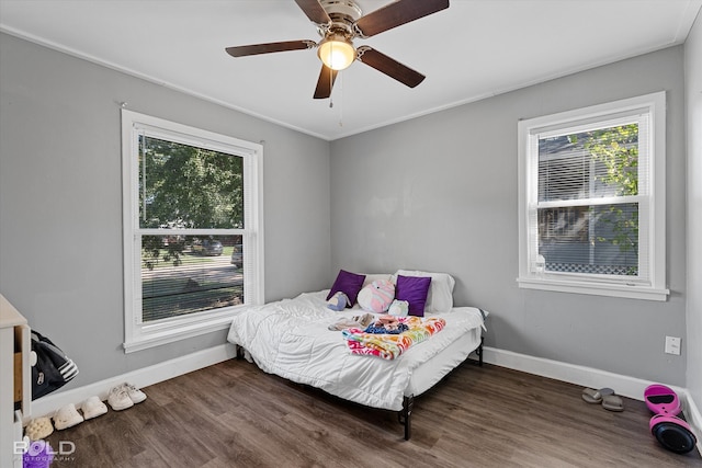 bedroom with multiple windows, ornamental molding, dark wood-type flooring, and ceiling fan