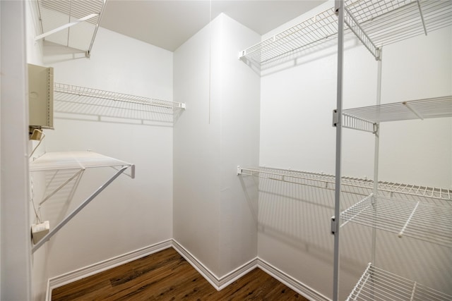 spacious closet featuring dark wood-type flooring