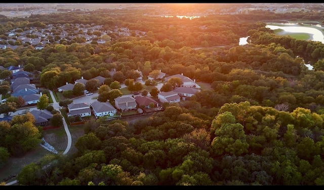 bird's eye view