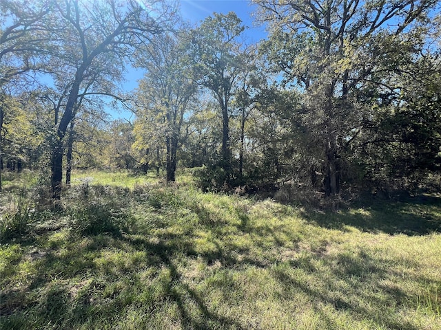 1350 Sandrock Trl, Whitney TX, 76692 land for sale