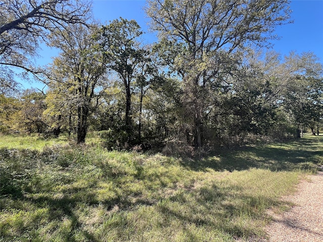 Listing photo 2 for 1350 Sandrock Trl, Whitney TX 76692