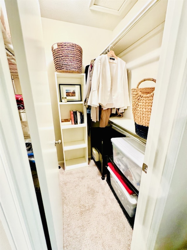 walk in closet featuring attic access and carpet