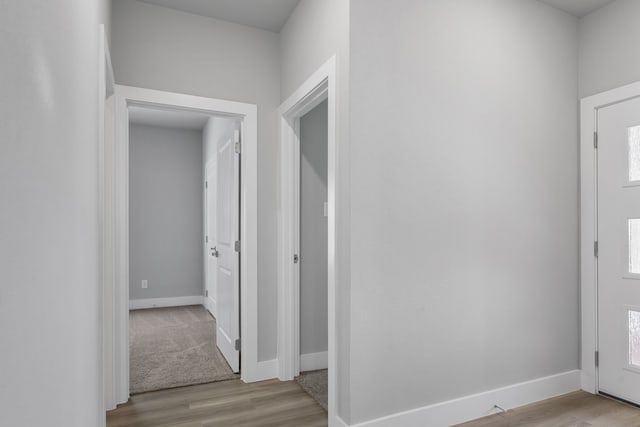 entryway featuring light wood-type flooring and a healthy amount of sunlight