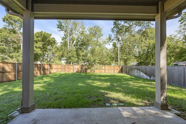 view of yard featuring a patio area