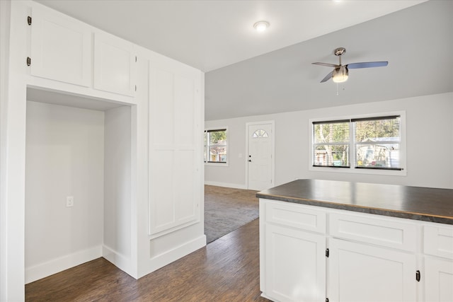 kitchen with lofted ceiling, white cabinets, dark hardwood / wood-style flooring, and a wealth of natural light