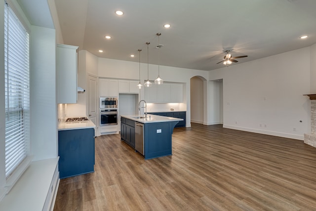 kitchen featuring an island with sink, a wealth of natural light, white cabinets, and stainless steel appliances