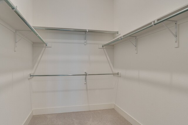 spacious closet featuring light carpet