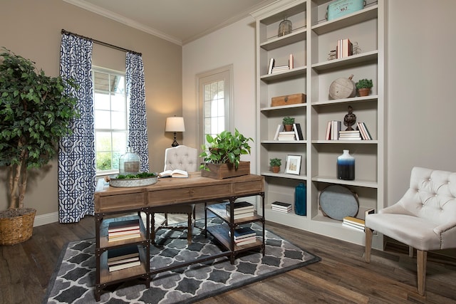 office space with ornamental molding and dark wood-type flooring