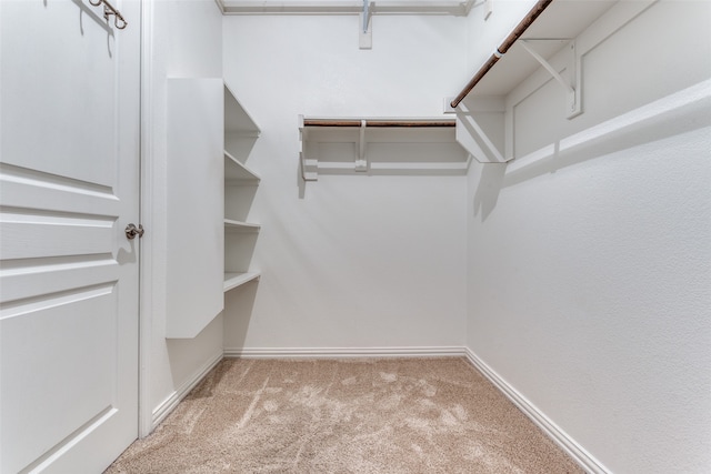 spacious closet with light carpet