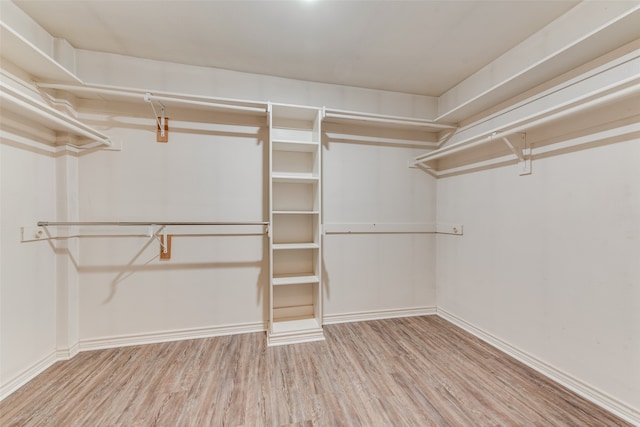 spacious closet with wood-type flooring