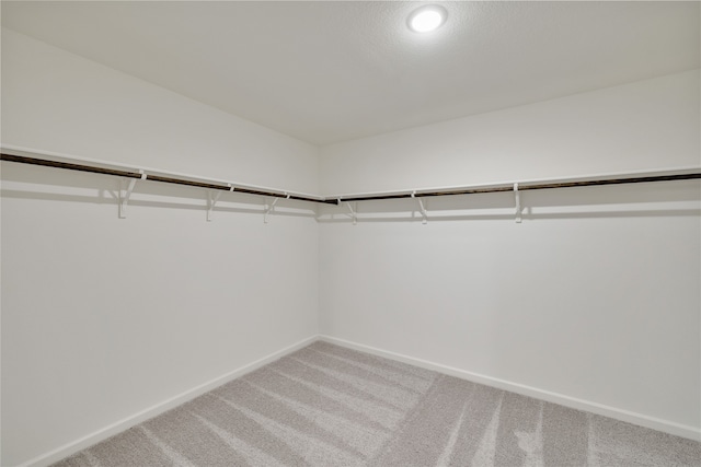 spacious closet with carpet floors