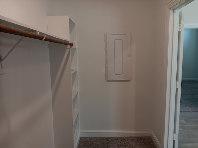 walk in closet with hardwood / wood-style flooring and electric panel