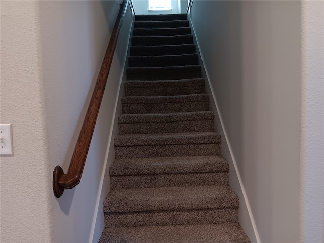 staircase with carpet floors