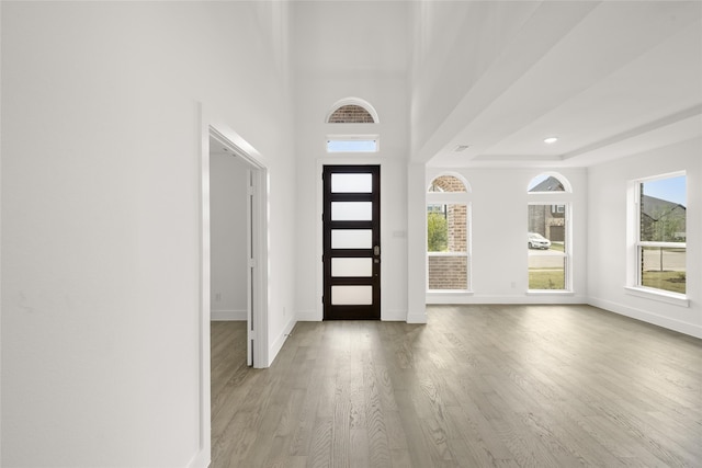 foyer featuring hardwood / wood-style floors, a wealth of natural light, and a raised ceiling