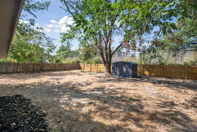 view of yard with a storage shed