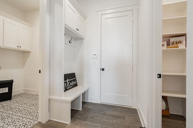 mudroom featuring dark hardwood / wood-style flooring