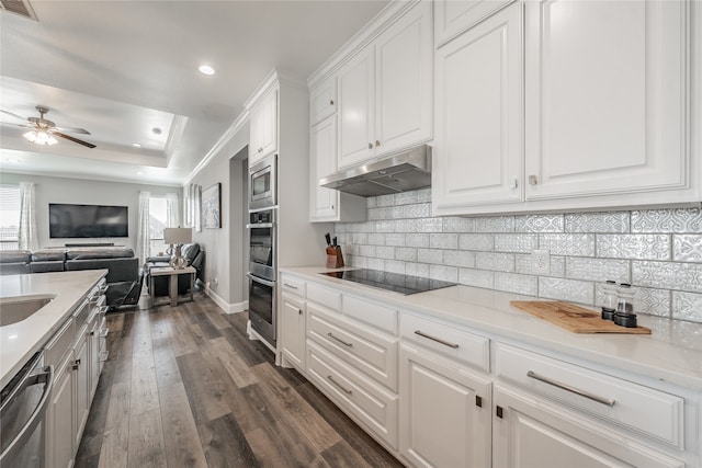 kitchen featuring white cabinetry, appliances with stainless steel finishes, tasteful backsplash, and dark hardwood / wood-style flooring