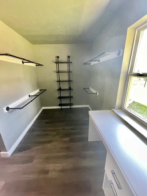 spacious closet with dark wood-type flooring