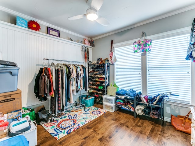 walk in closet featuring dark hardwood / wood-style flooring and ceiling fan