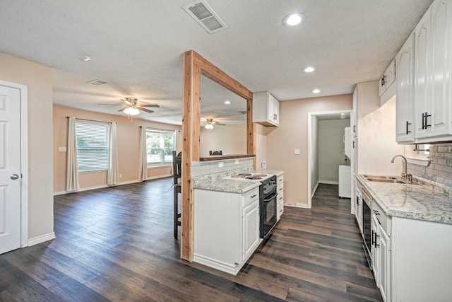 kitchen with visible vents, a sink, dark wood-type flooring, tasteful backsplash, and black electric range oven