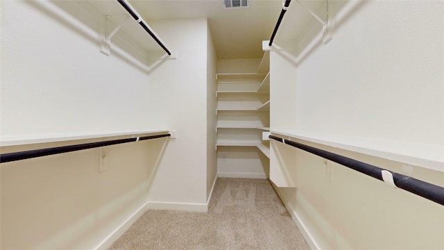 spacious closet with light carpet