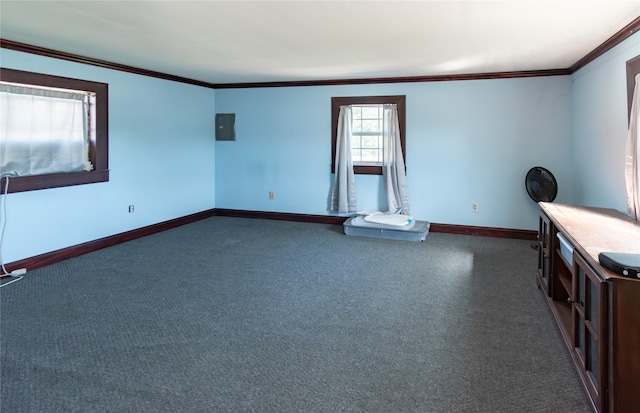 empty room featuring crown molding and electric panel