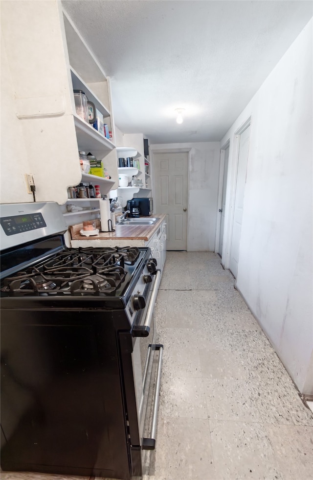 kitchen featuring stainless steel range with gas cooktop and sink