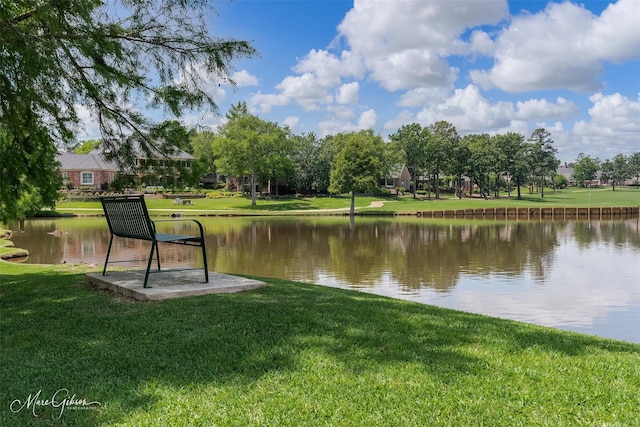 property view of water