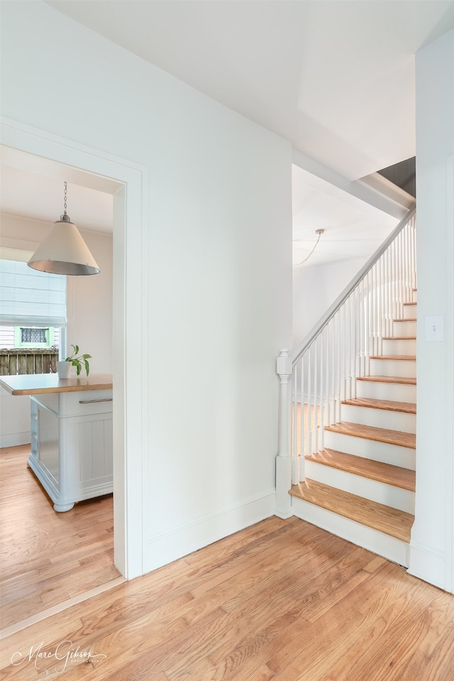 stairway with hardwood / wood-style flooring