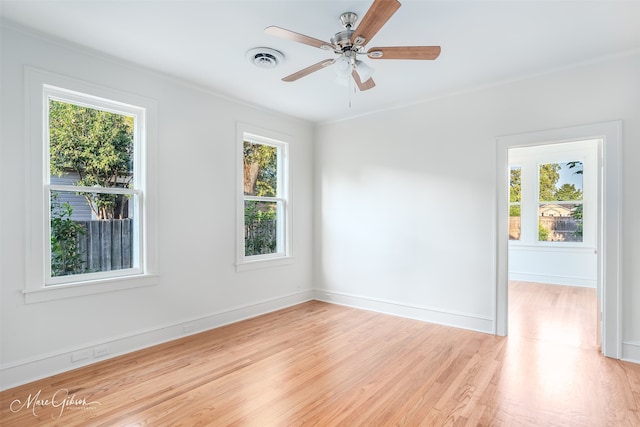 empty room with ceiling fan, light hardwood / wood-style flooring, and plenty of natural light