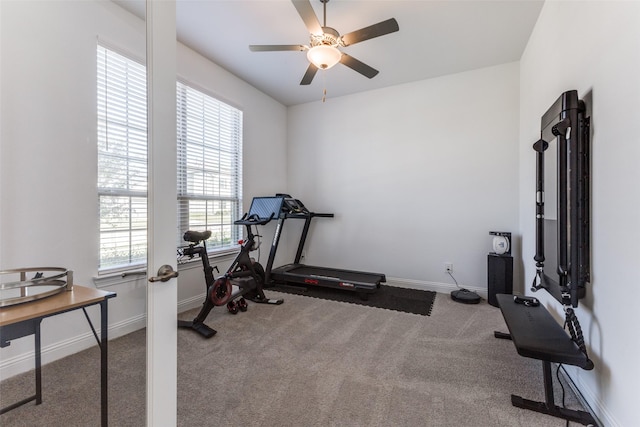 exercise area with ceiling fan and carpet flooring