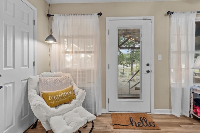 entryway featuring wood-type flooring