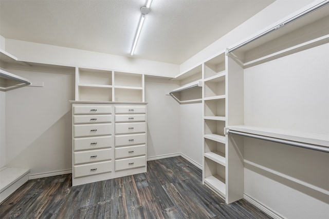 spacious closet featuring dark hardwood / wood-style flooring