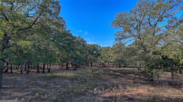 TBD Thompson Rd, Saint Jo TX, 76265 land for sale