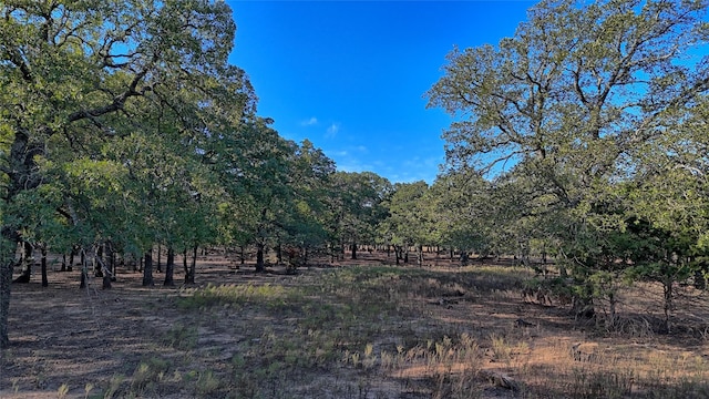 TBD Thompson Rd, Saint Jo, TX 76265