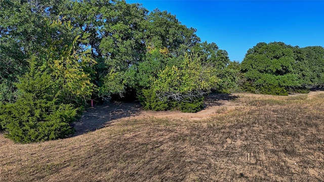 TBD Thompson Rd, Saint Jo, TX 76265