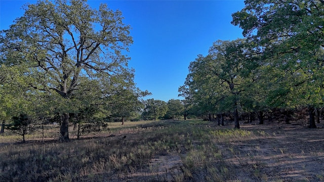 Listing photo 2 for TBD Thompson Rd, Saint Jo TX 76265